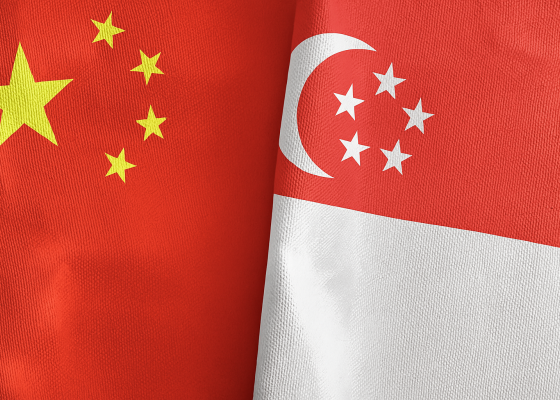 China and Singapore Strengthen Agricultural Cooperation at Inaugural Working Group Meeting in Beijing