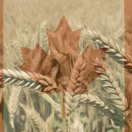 Deadline Extended for AgriStability Program to Support Manitoba Farmers