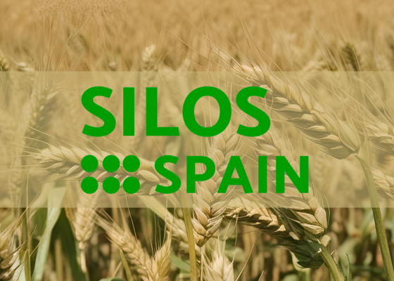 Silos Spain, Alisur’un Şili’deki Yeni Genişleme Projesini Üstlendi