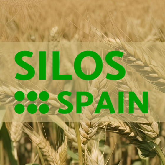 Silos Spain, Alisur’un Şili’deki Yeni Genişleme Projesini Üstlendi
