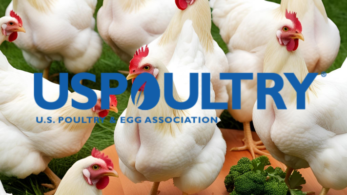 Researchers Develop Vaccines for the Control of Chicken Spotty Liver Disease