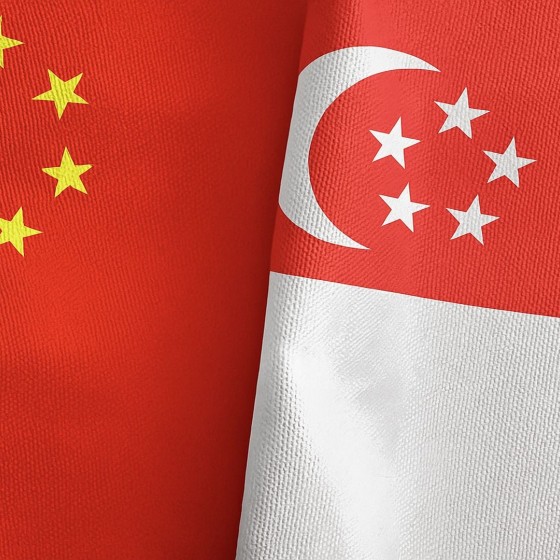 China and Singapore Strengthen Agricultural Cooperation at Inaugural Working Group Meeting in Beijing