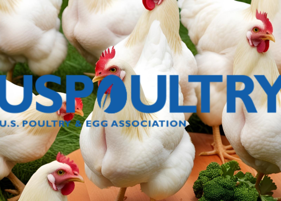 USPOULTRY and Foundation Approve Funding for Four New Board Research Initiative Topics