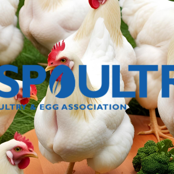 USPOULTRY and Foundation Approve Funding for Four New Board Research Initiative Topics