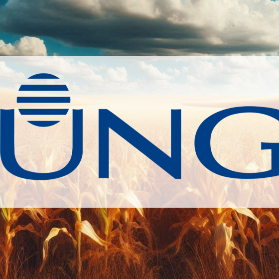 Bunge, Viterra Birleşmesinin Ardından Segment Raporlamasını ve 2025 Mali Yılı Görünümünü Güncelledi