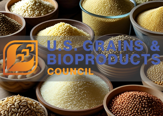 Council Training Course Builds Corn Co-Product Capacity in Senegal