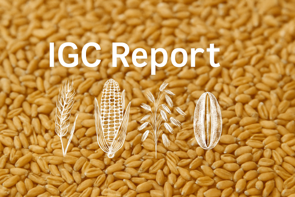 IGC’s June Report: Global Grain and Oilseed Markets Maintain Upward Momentum into 2025/26