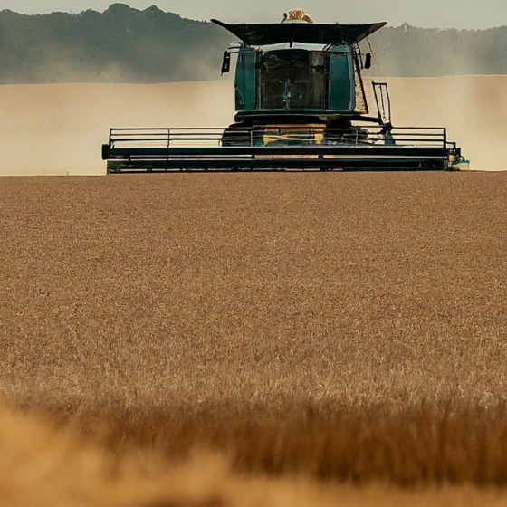 Kazakhstan begins mass sowing campaign across grain-growing regions