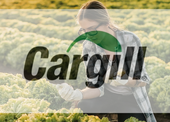 Five Cargill Innovations Win 2025 Edison Awards™ for Transforming the Future of Food and Agriculture