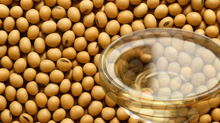 Oilseed Outlook Darkens: Lower Crops and Shrinking Stocks Signal Tighter Market